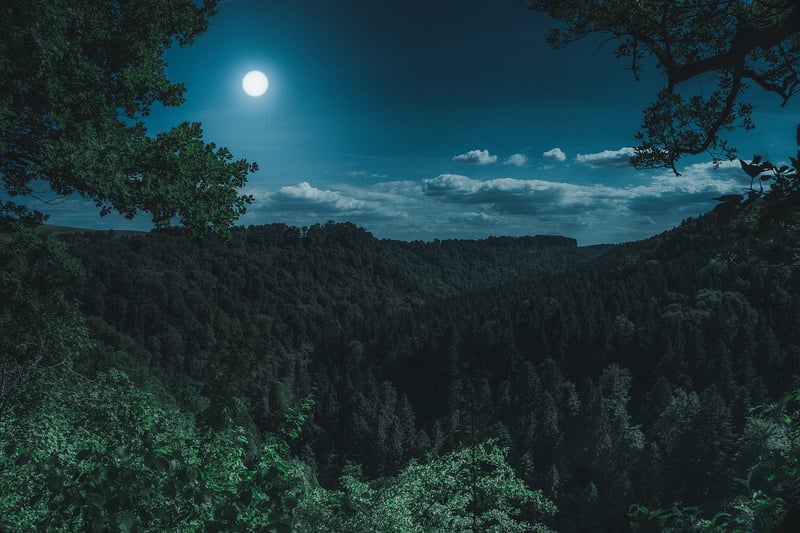 Golden Moon